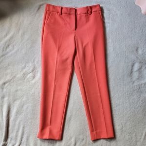 Hot Pink sleek and tailored Ankle pants! 🌈